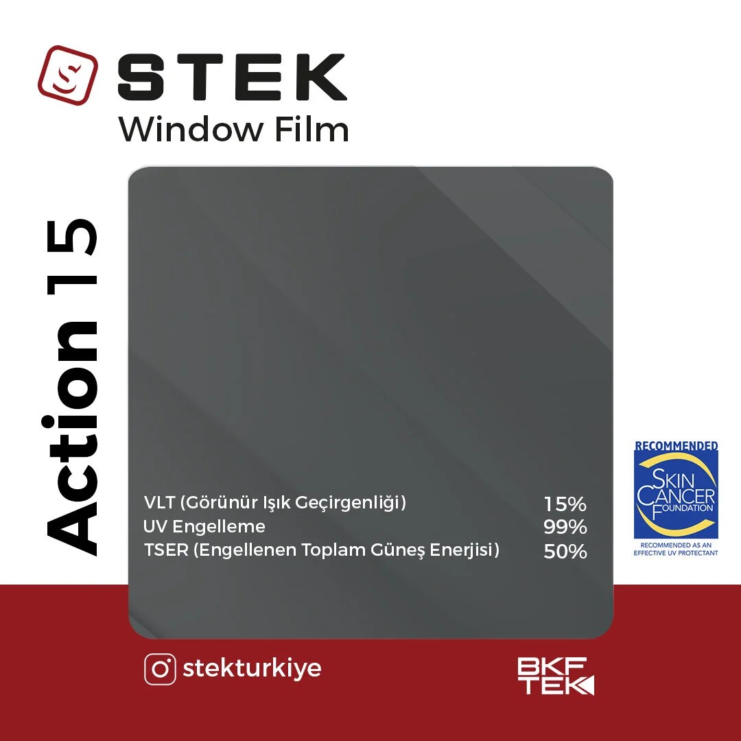 Action 15